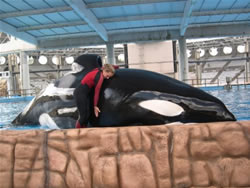 A Trainer and whale hug at Seaworld