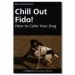 chill-out-fido