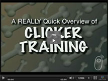 Introduction to Clicker Training