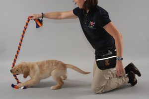 Debbie Martin training a puppy