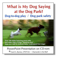 What is My Dog Saying in the Dog Park