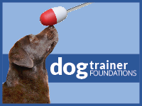 Dog Trainer Foundations