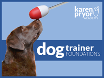 dog trainer foundations course