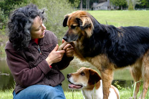 Kathy Sdao with dogs