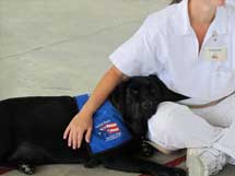 Patriot Paws: Helping Dogs Help Heroes