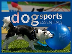 Dog Sports Essentials