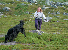 Tia and Cecilie tracking