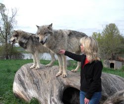 Tia with wolves