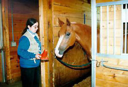 Horse Trainer and Expo Speaker Alexander Kurland