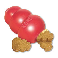 filling a kong with peanut butter